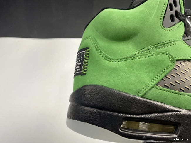 Cheap 5 SE Jordan Ducks Air CK6631-307 Oregon 0521